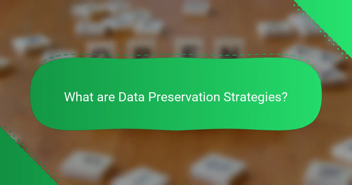 What are Data Preservation Strategies?