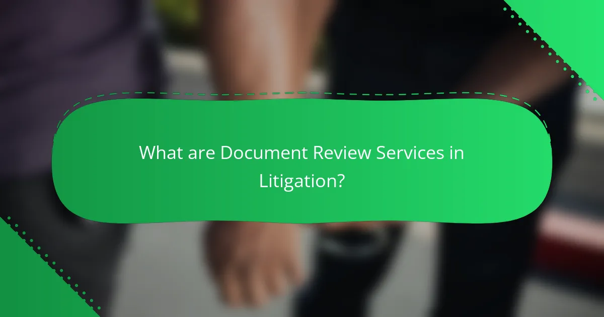 What are Document Review Services in Litigation?