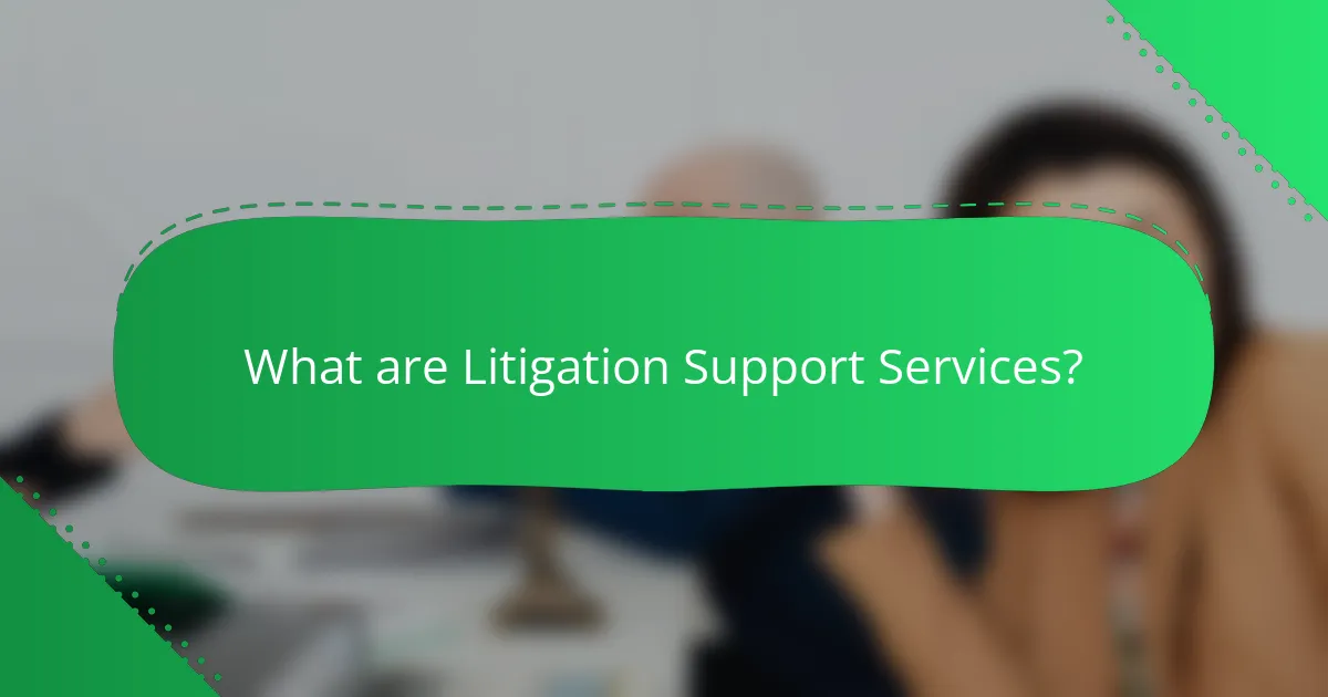 What are Litigation Support Services?