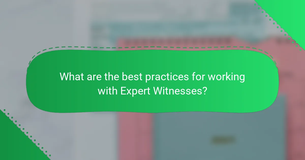 What are the best practices for working with Expert Witnesses?