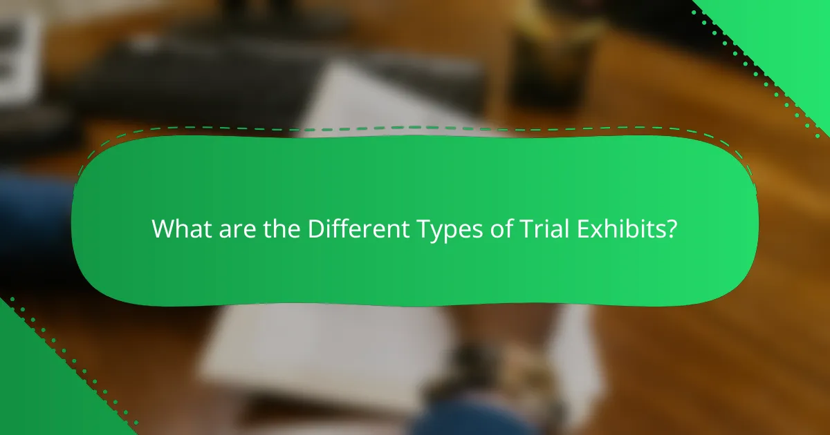 What are the Different Types of Trial Exhibits?