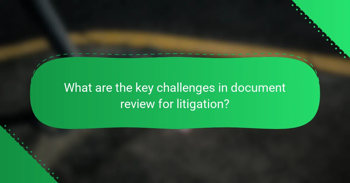 What are the key challenges in document review for litigation?