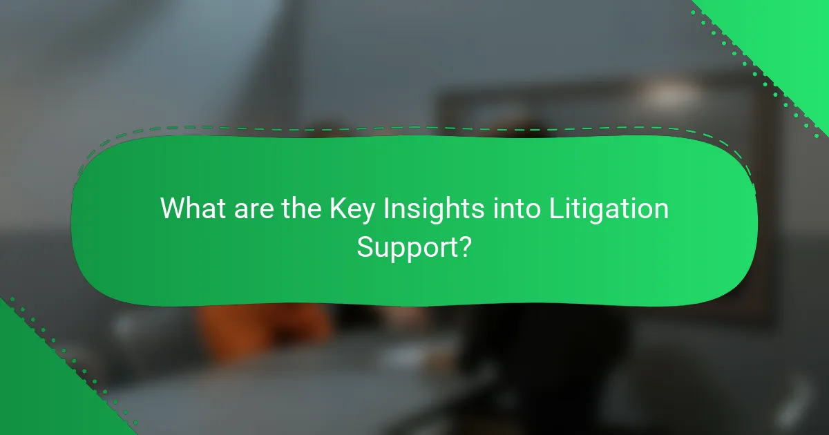What are the Key Insights into Litigation Support?