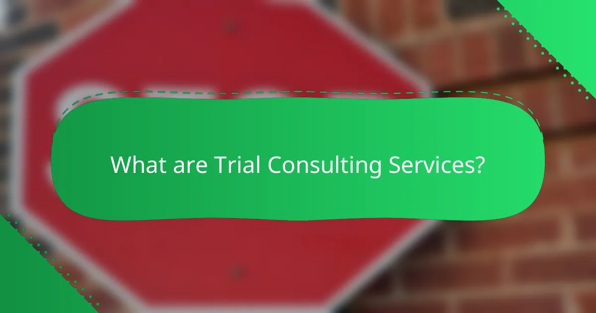 What are Trial Consulting Services?