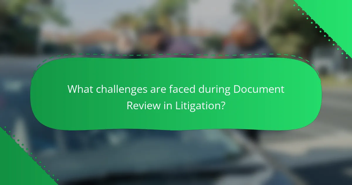 What challenges are faced during Document Review in Litigation?
