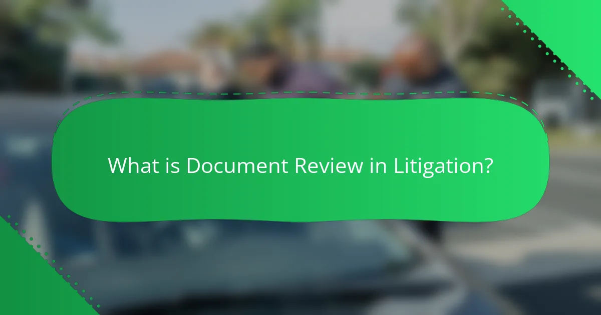 What is Document Review in Litigation?