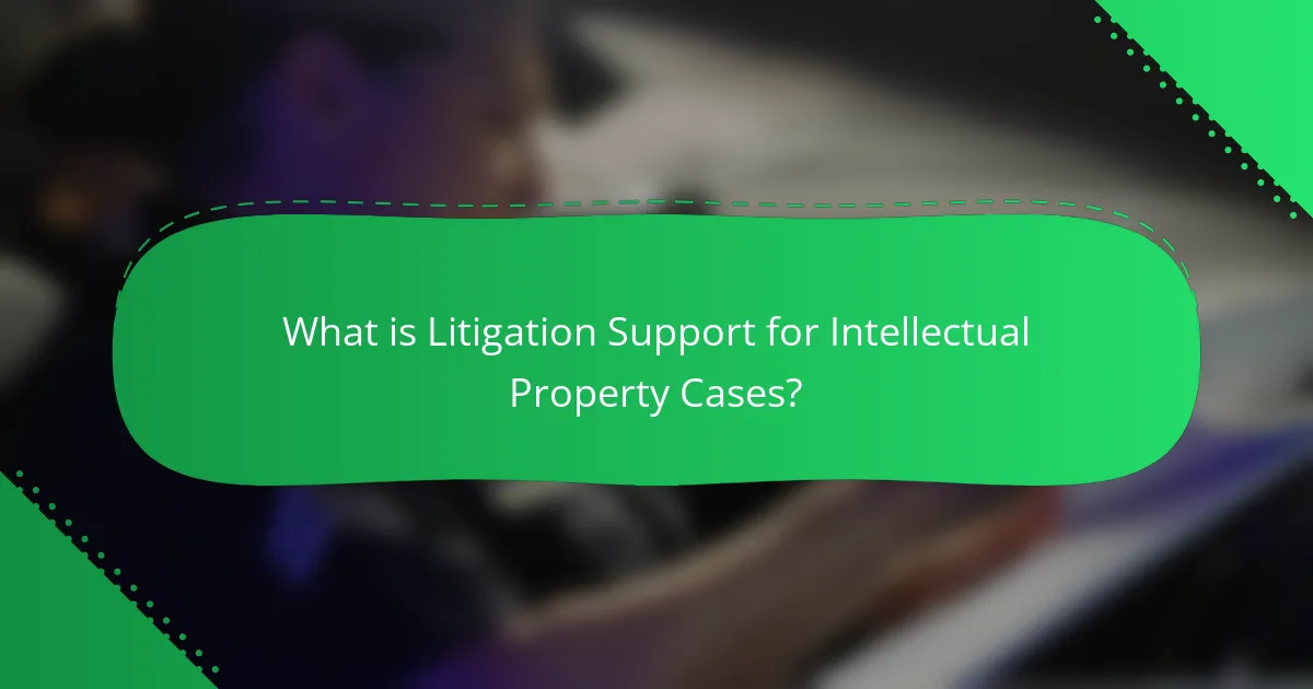 What is Litigation Support for Intellectual Property Cases?