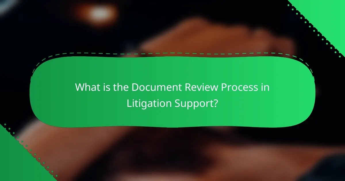 What is the Document Review Process in Litigation Support?