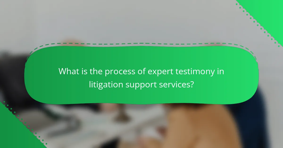 What is the process of expert testimony in litigation support services?
