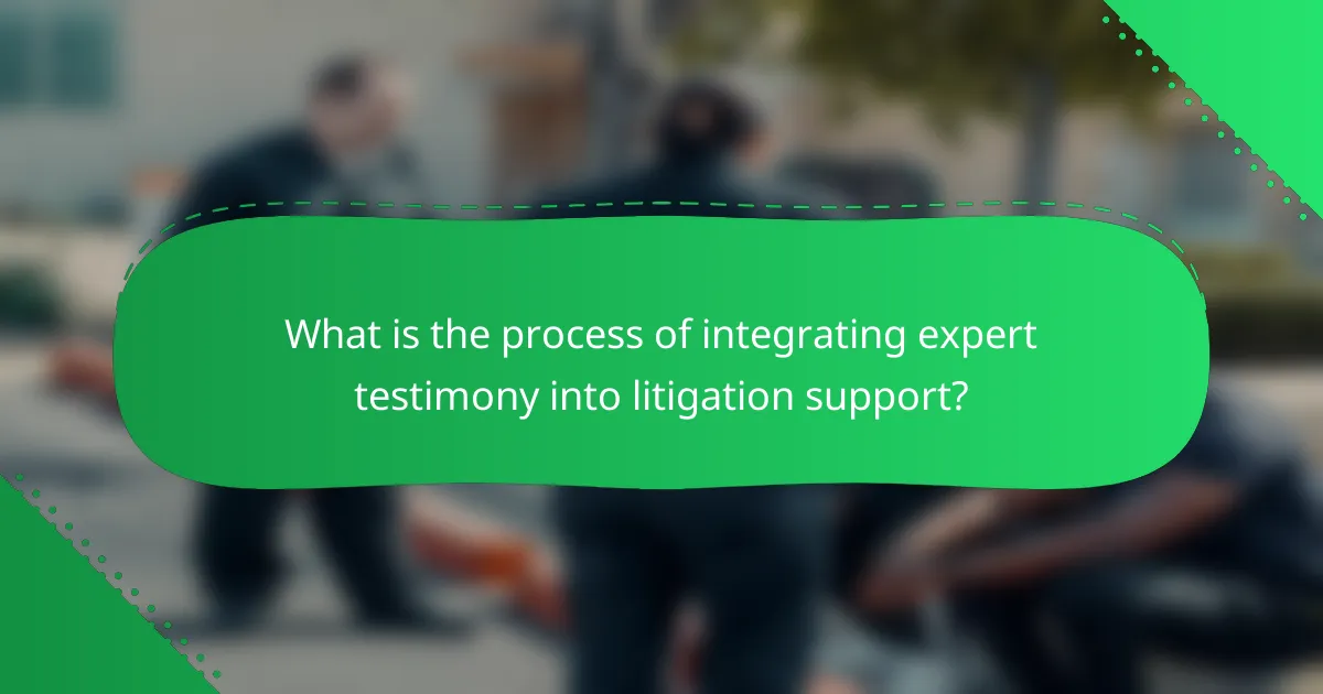 What is the process of integrating expert testimony into litigation support?