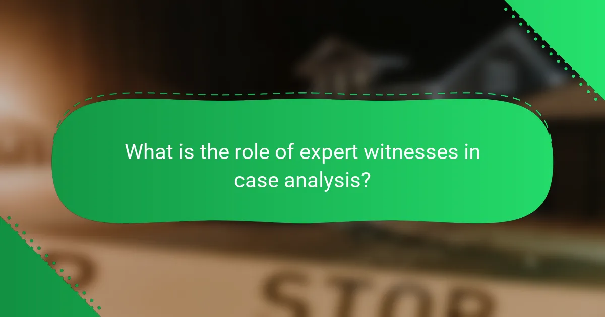 What is the role of expert witnesses in case analysis?