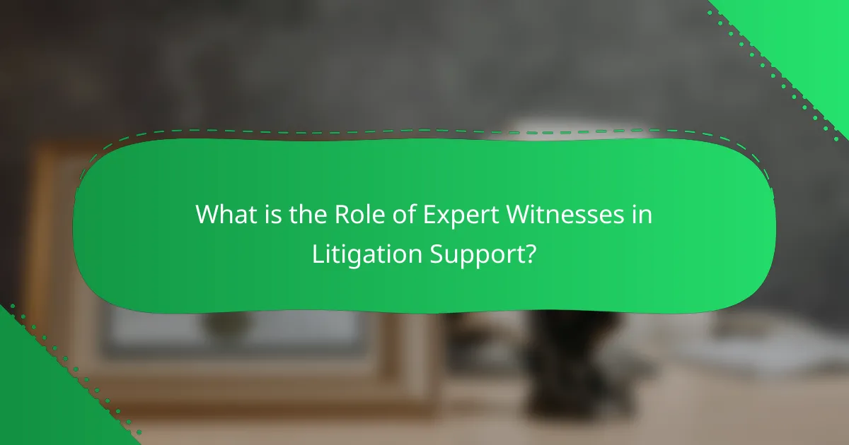 What is the Role of Expert Witnesses in Litigation Support?
