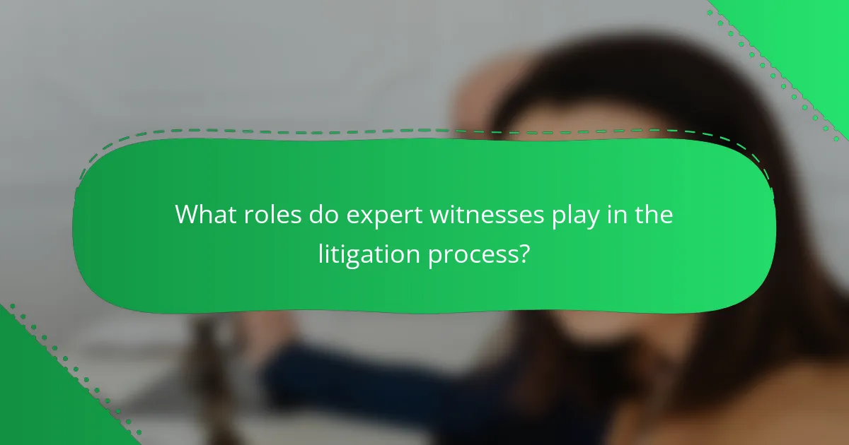 What roles do expert witnesses play in the litigation process?